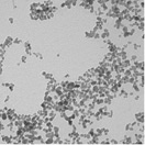 TEM-single-domain magnetite cores